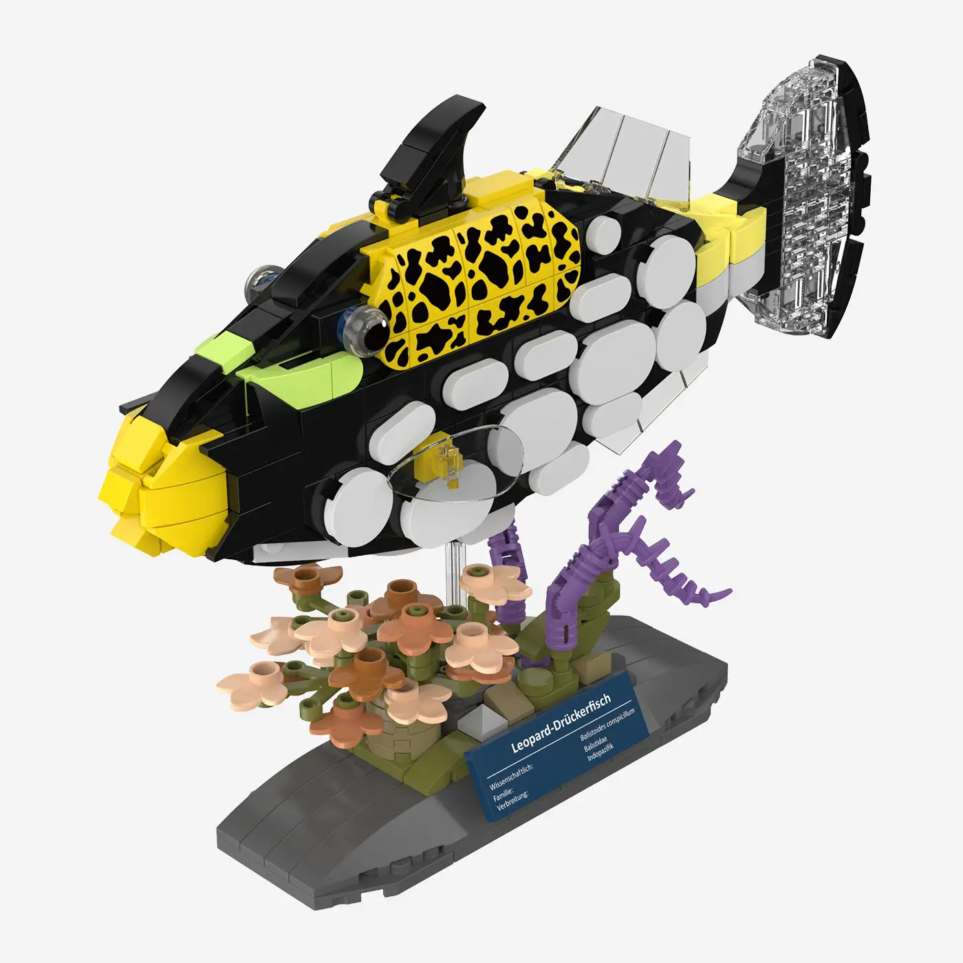 Leopard-Drückerfisch