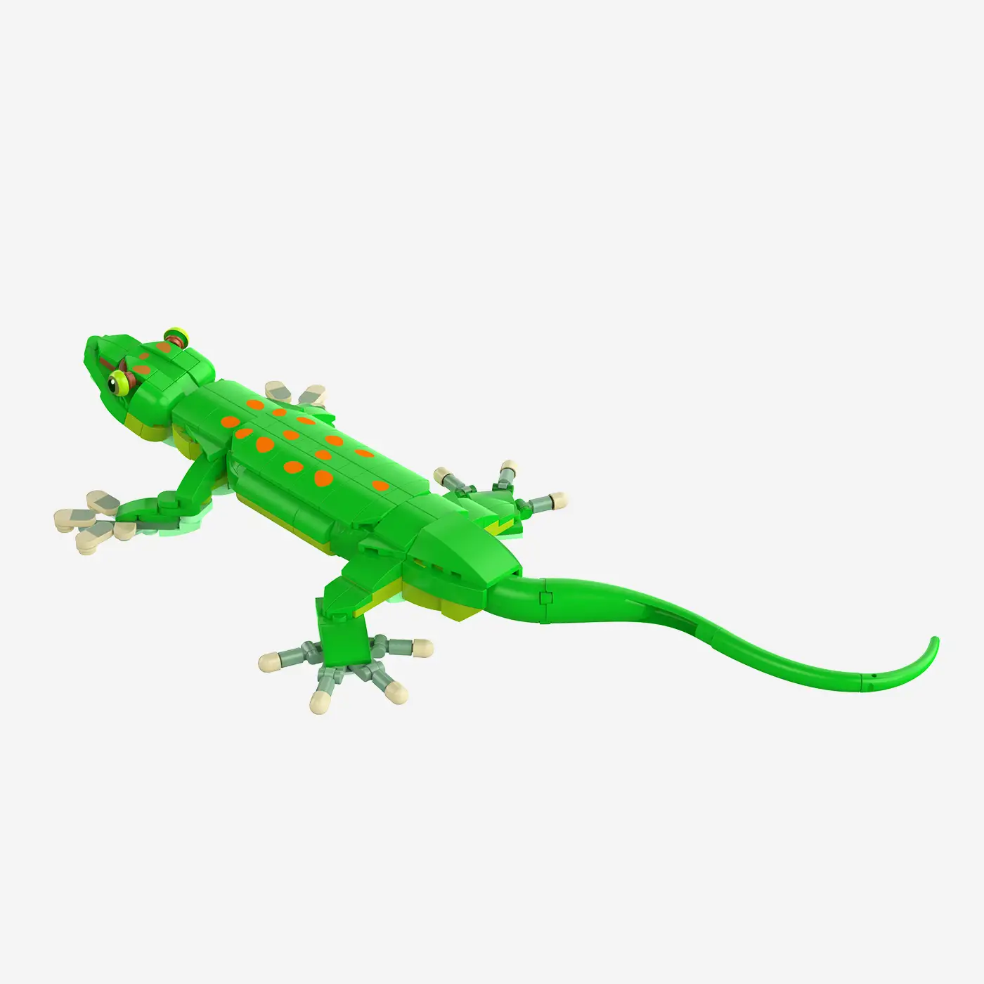 Madagaskar-Taggecko