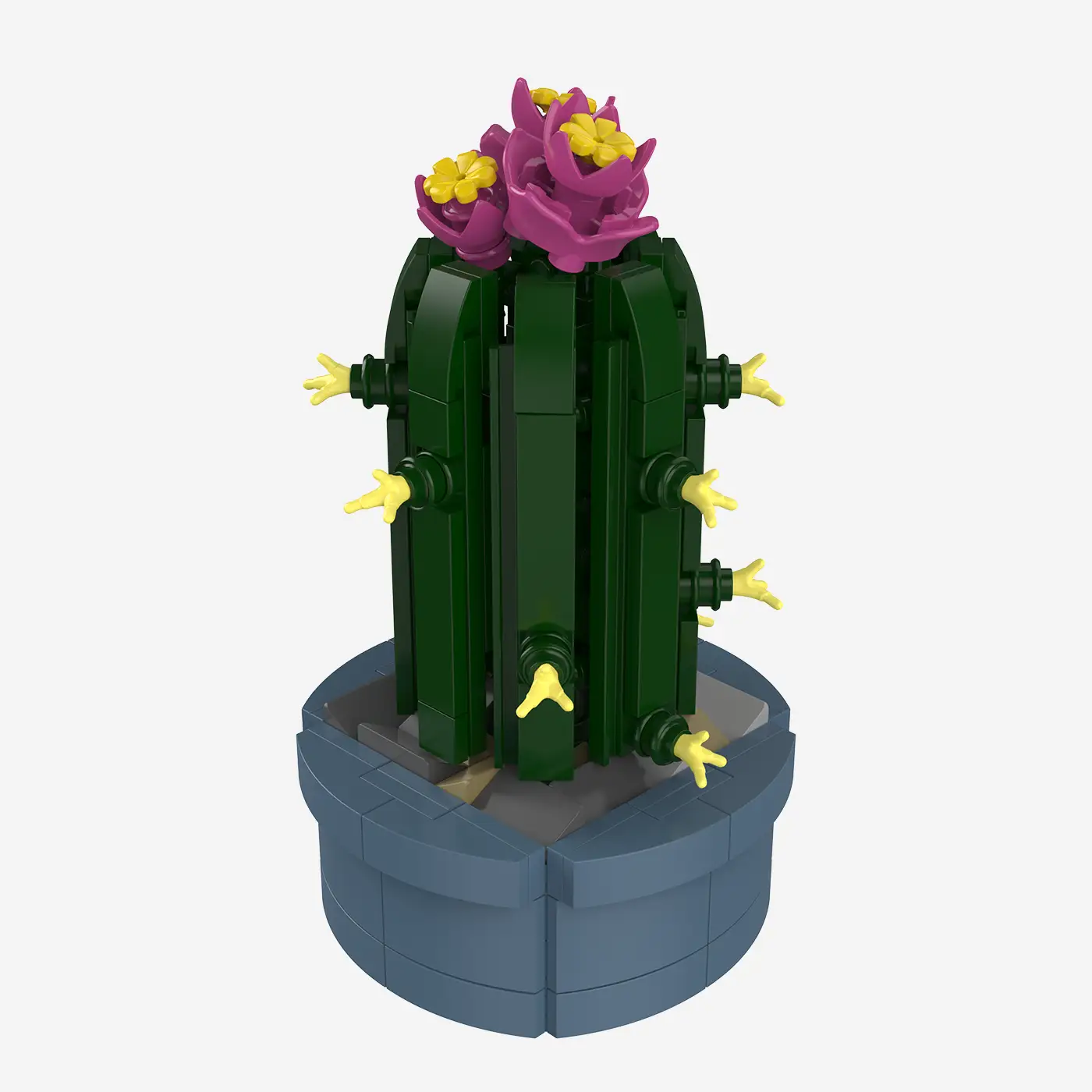 Mini-Säulenkaktus mit rosa Blüten