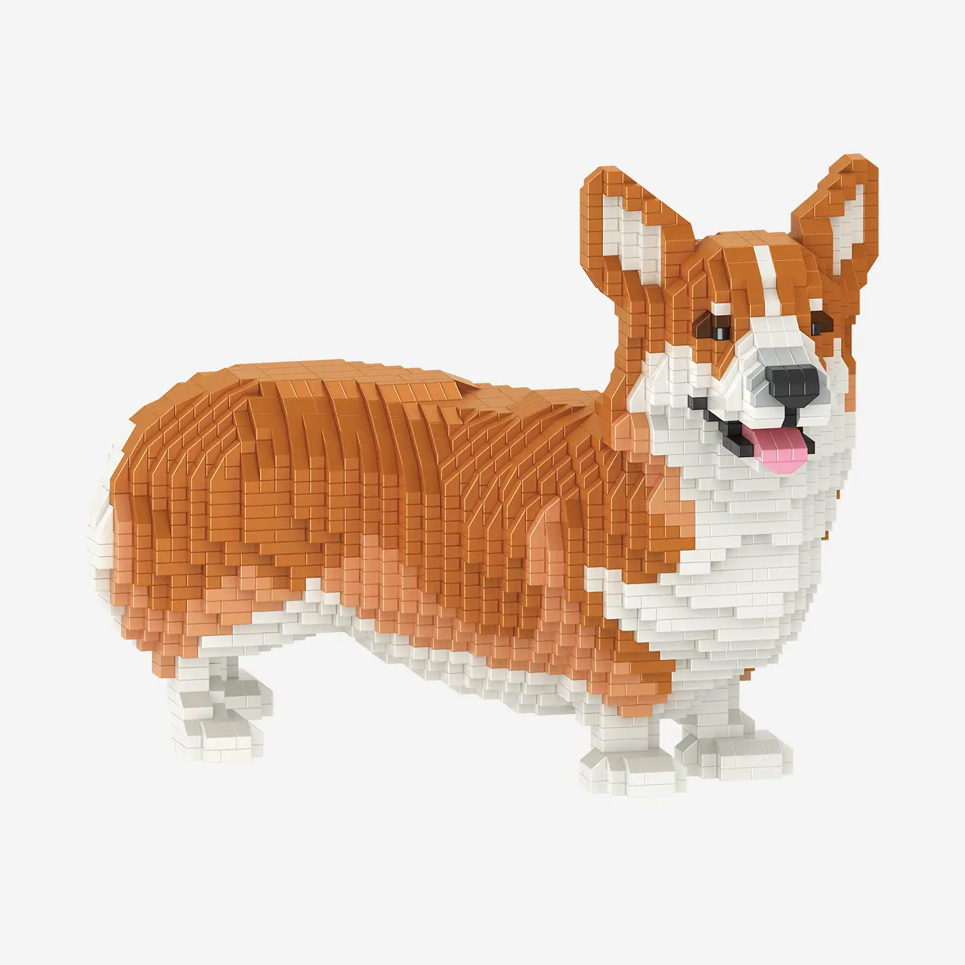Welsh Corgi
