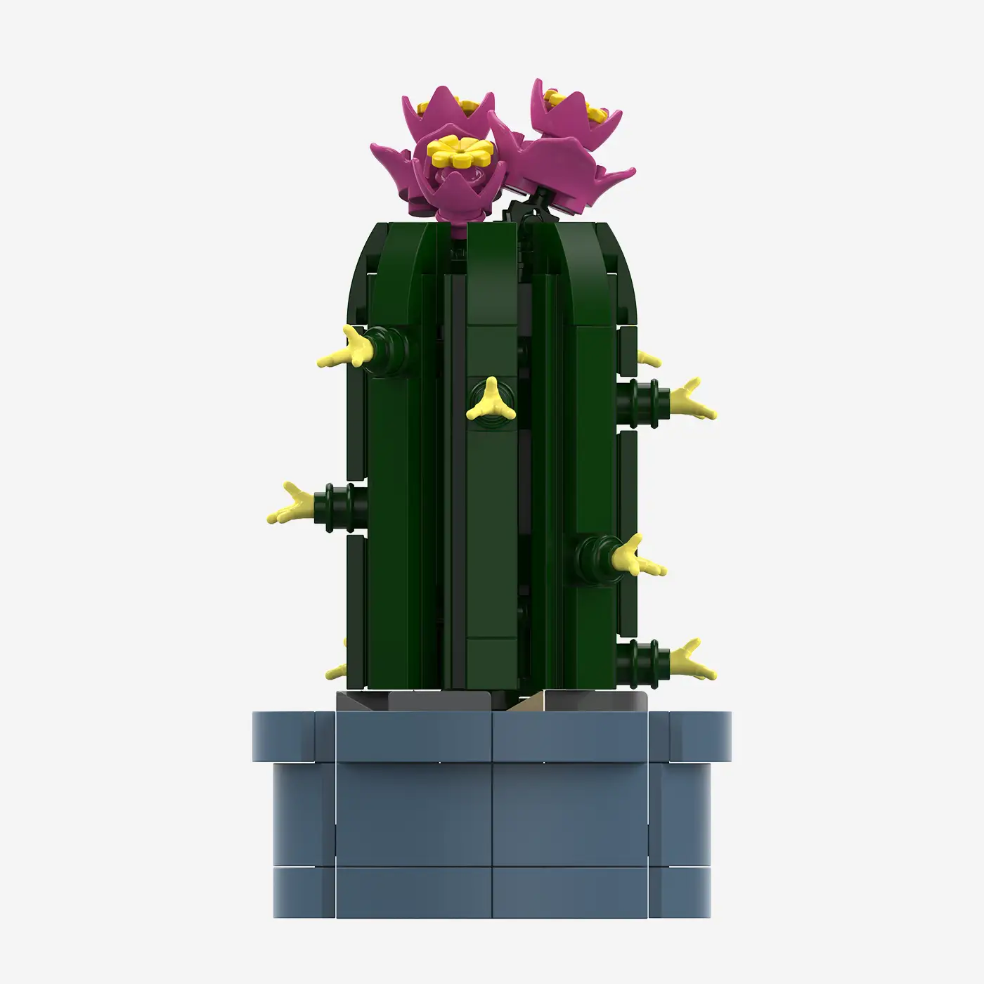 Mini-Säulenkaktus mit rosa Blüten