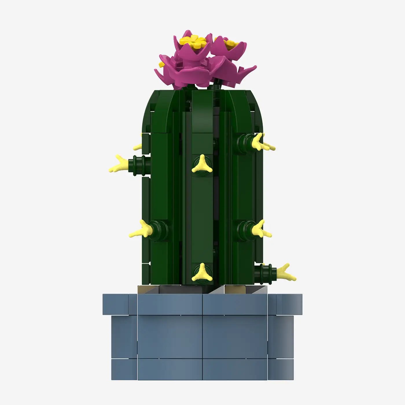 Mini-Säulenkaktus mit rosa Blüten