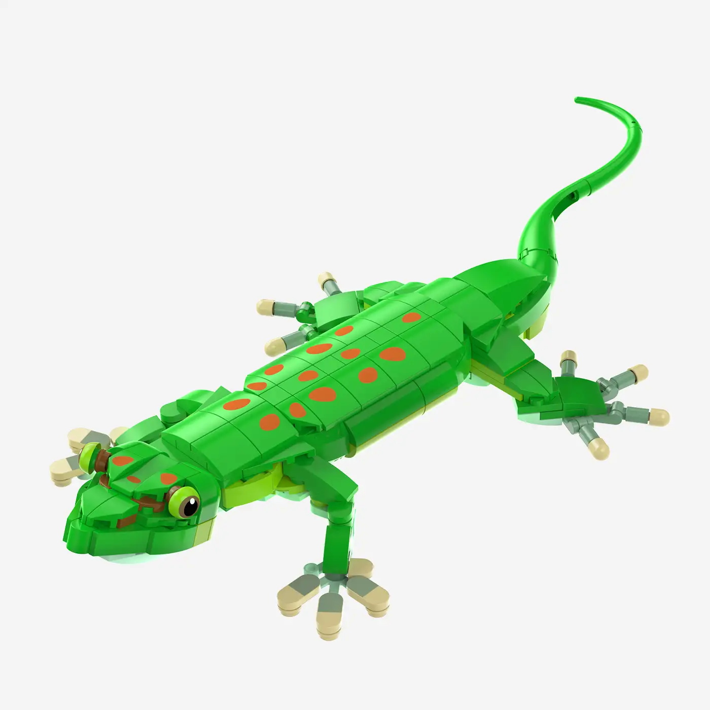 Madagaskar-Taggecko