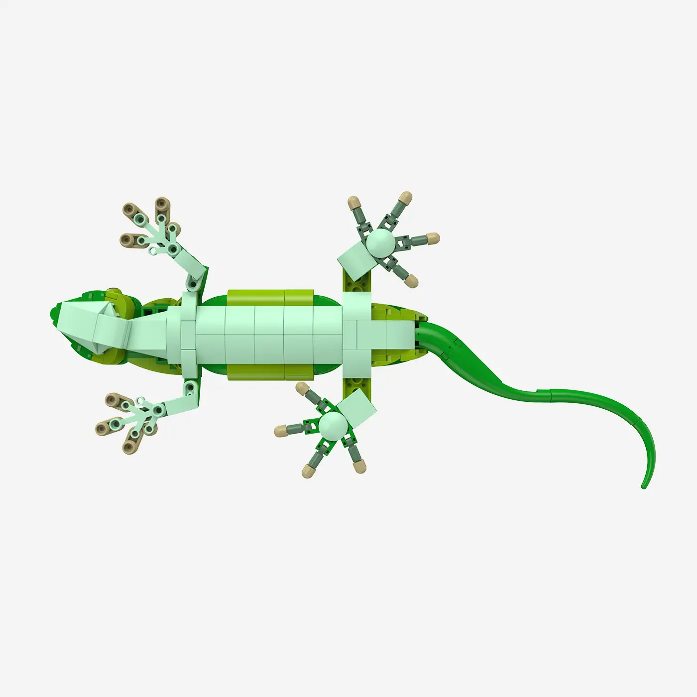 Madagaskar-Taggecko