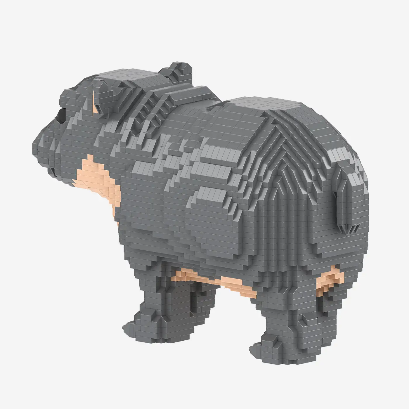 Nilpferdbaby