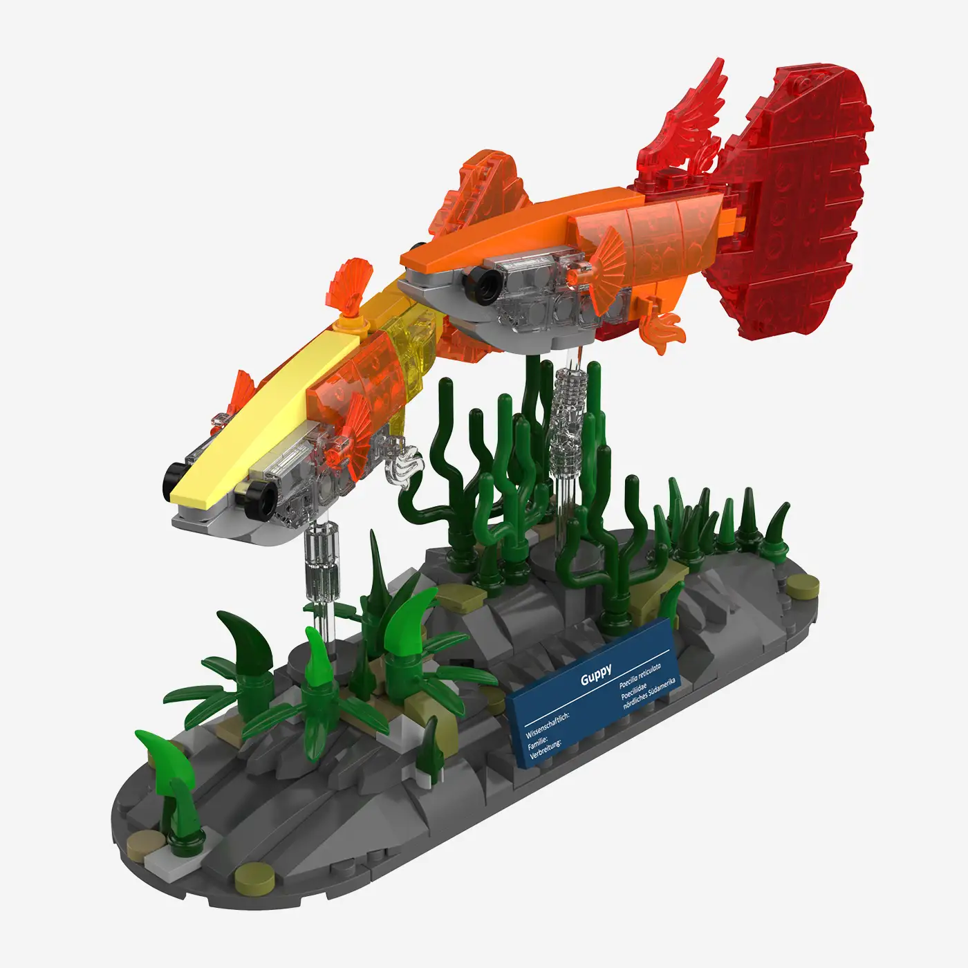Guppy