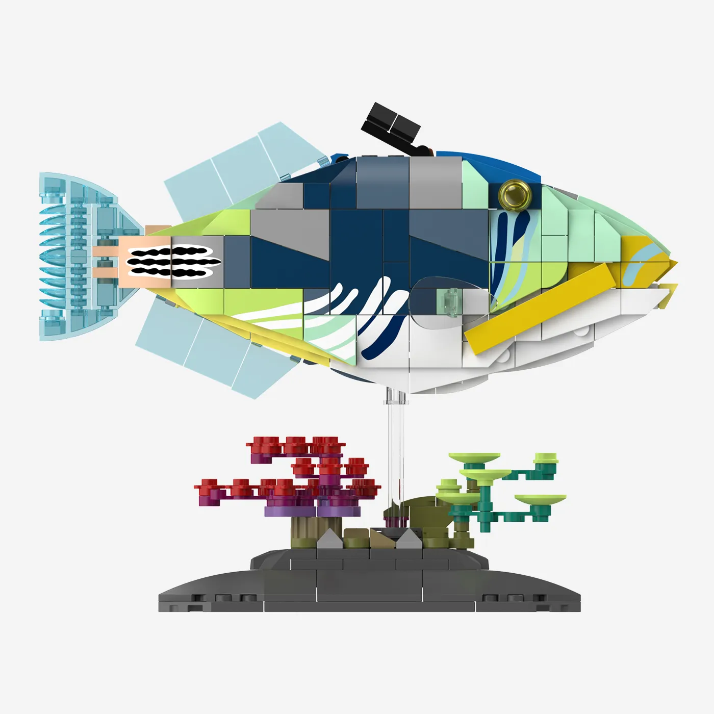 Picasso-Drückerfisch