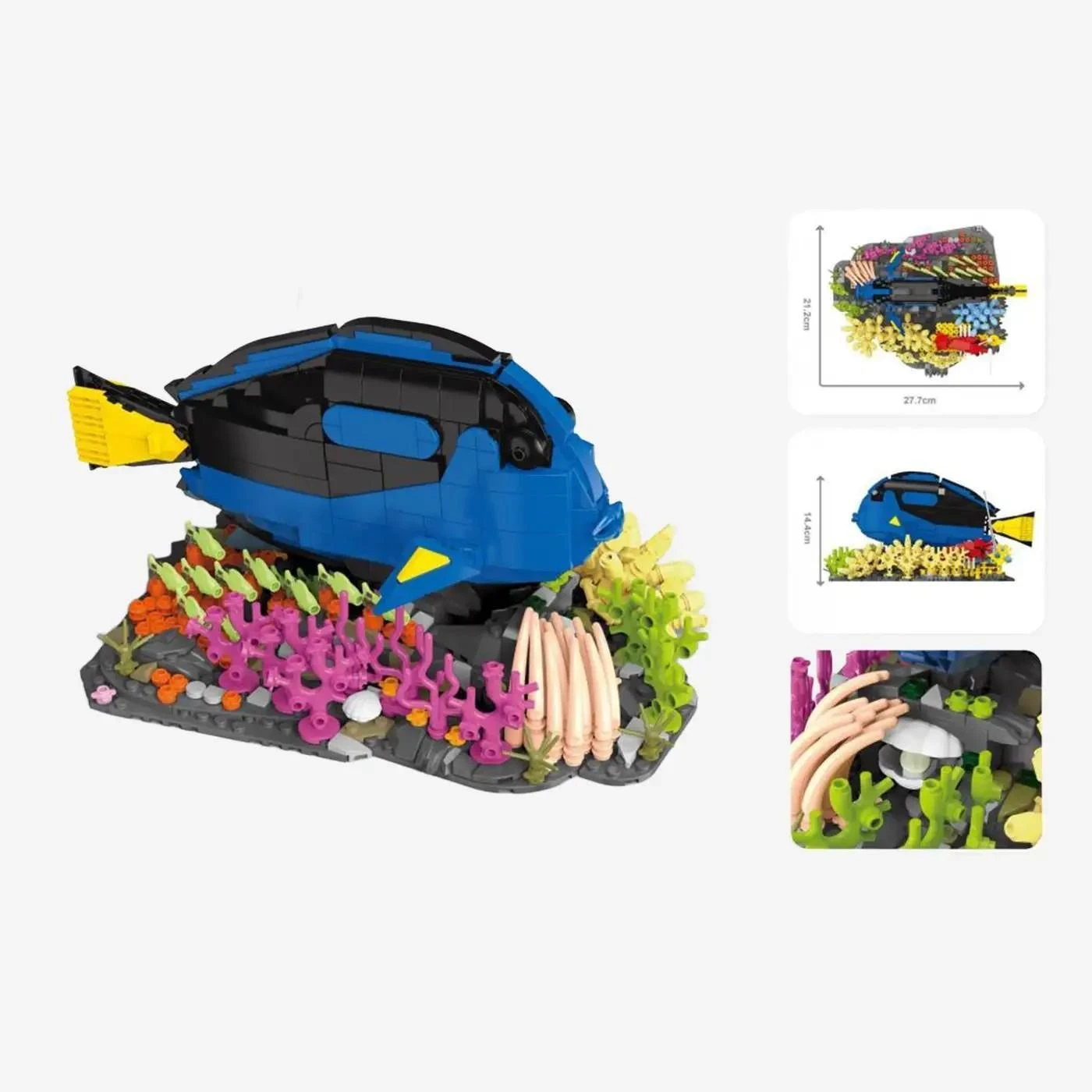 Paletten-Doktorfisch