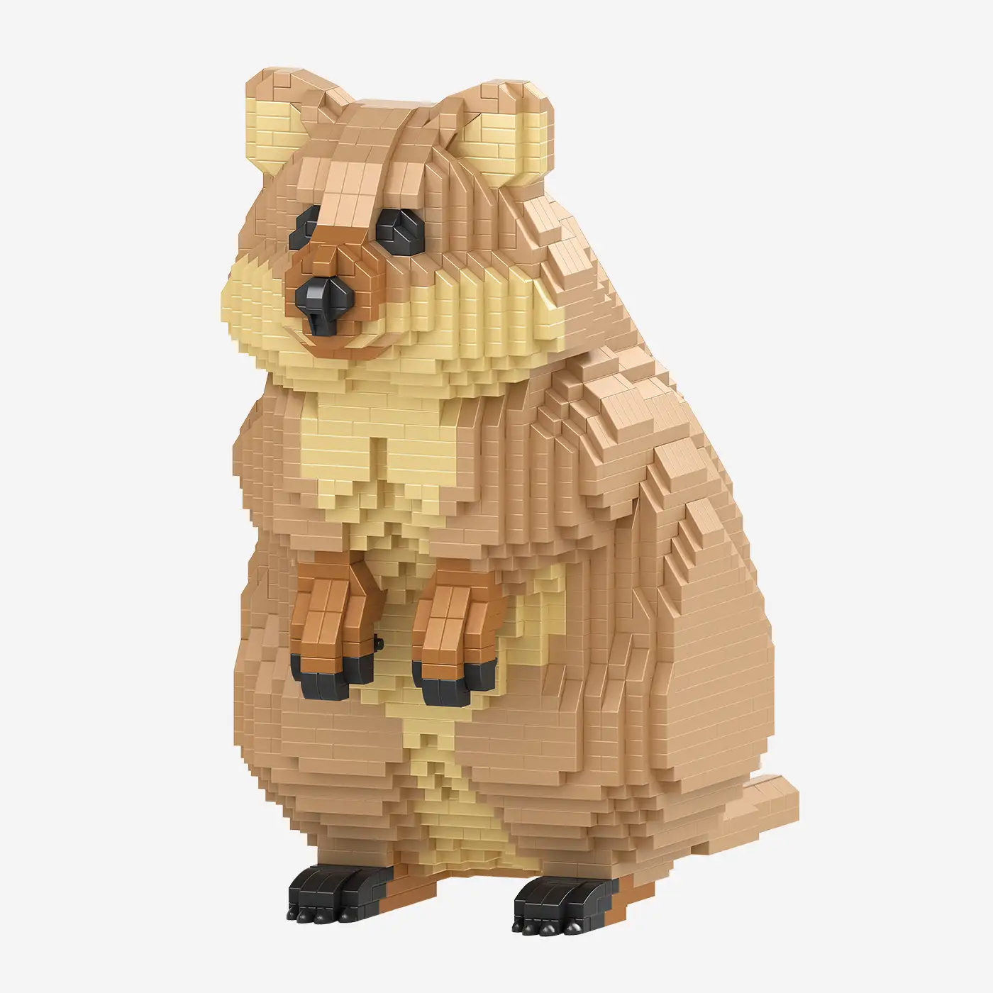 Quokka
