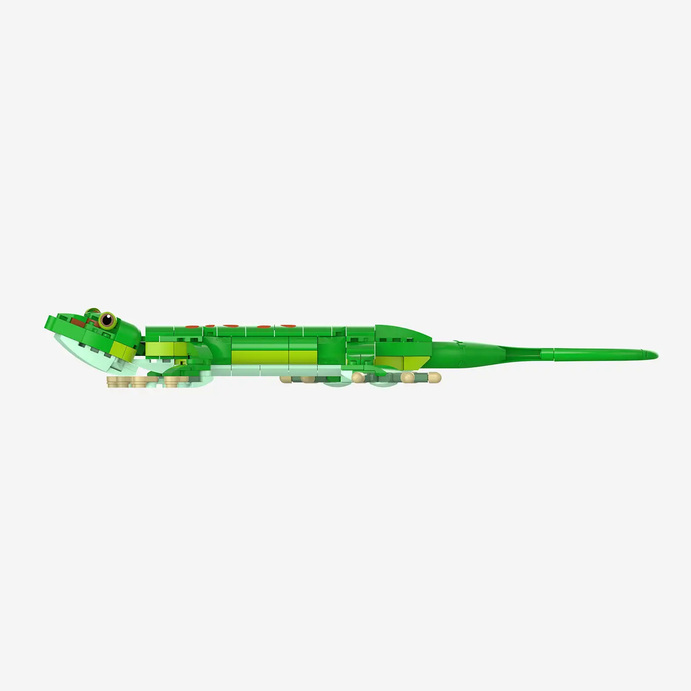 Madagaskar-Taggecko