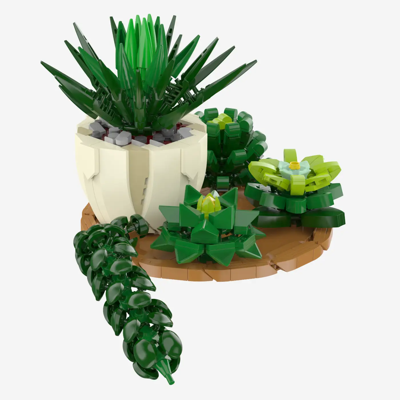 Succulent Mix