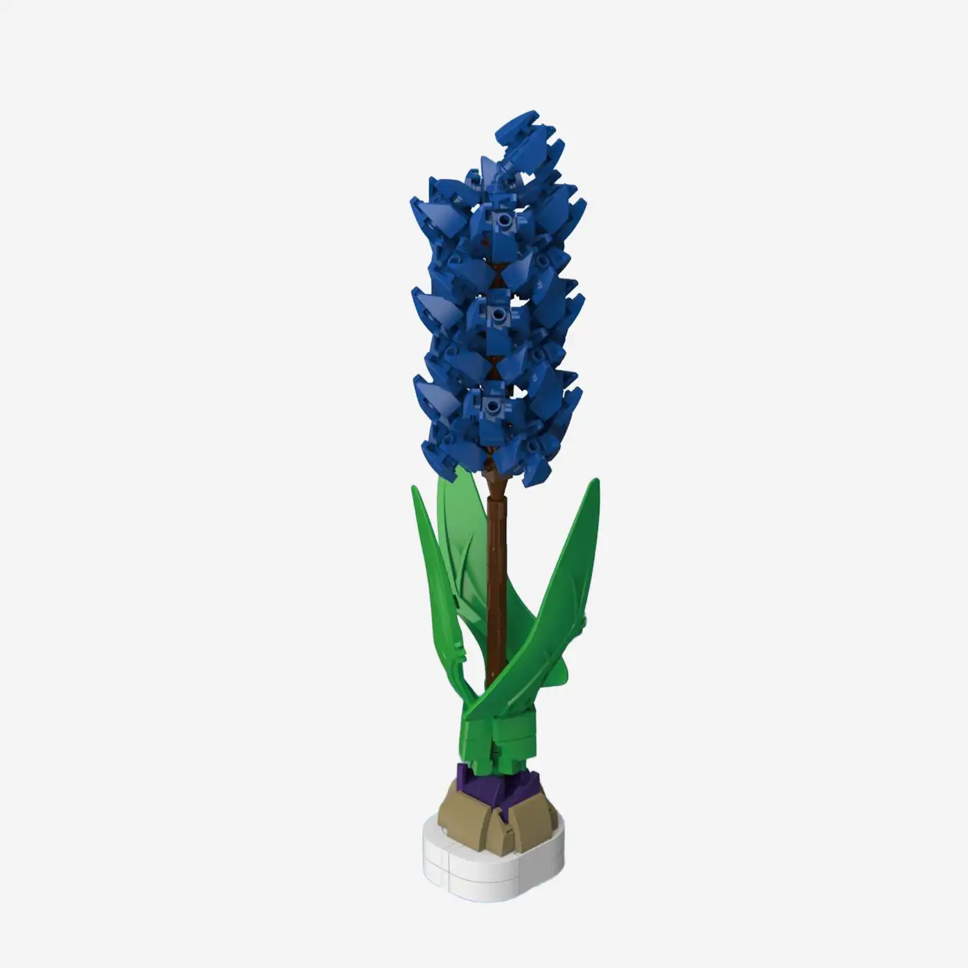 Blue Hyacinth 