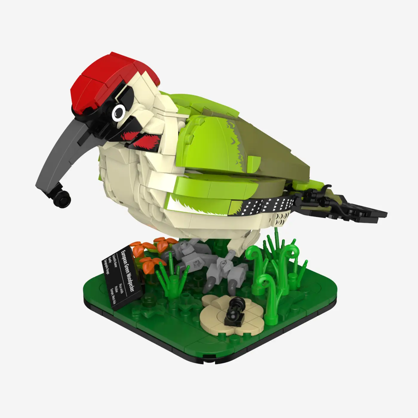 European green woodpecker