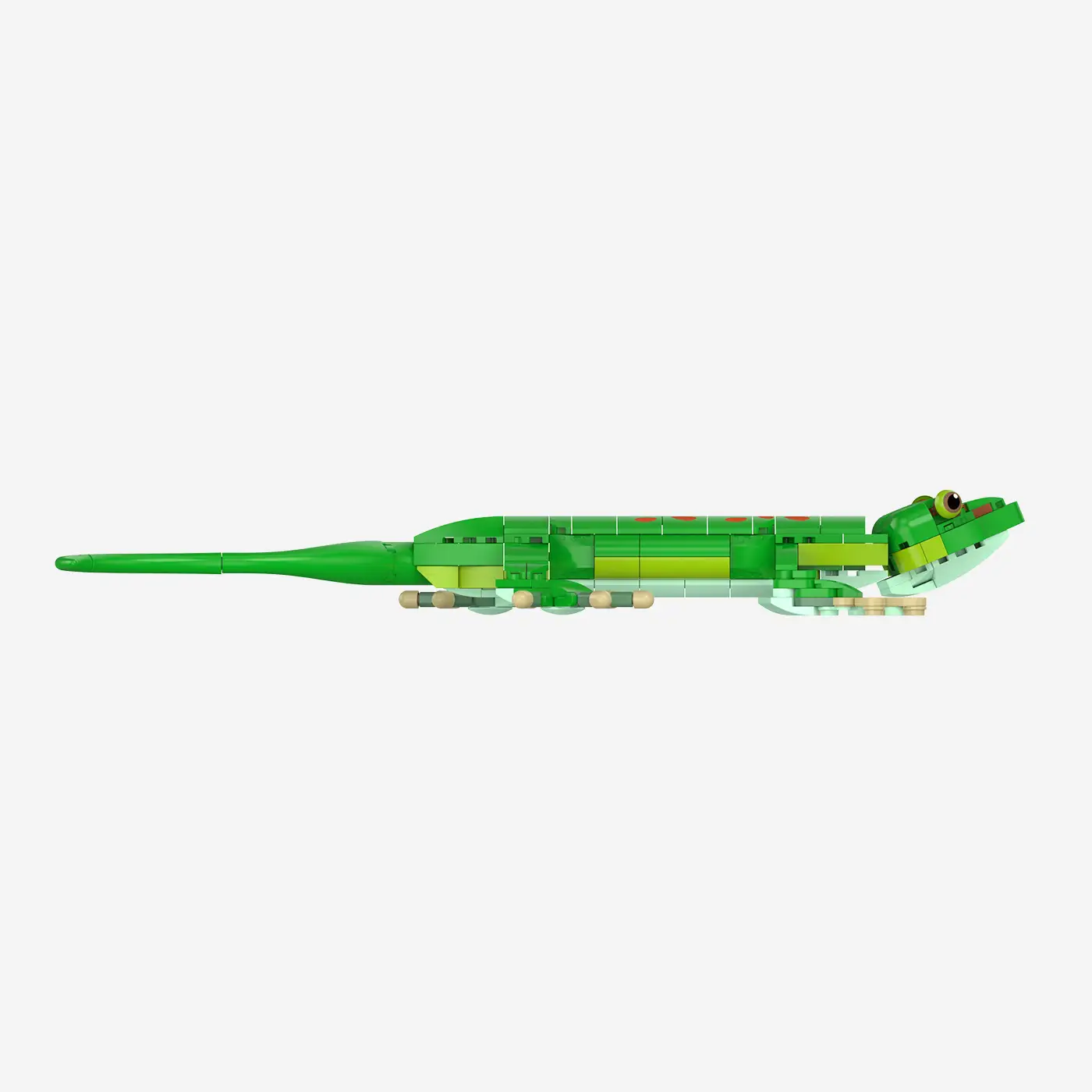Madagaskar-Taggecko