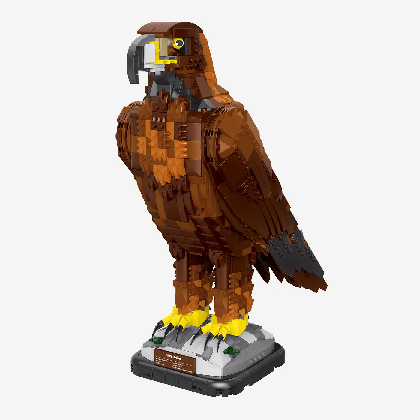 Steinadler