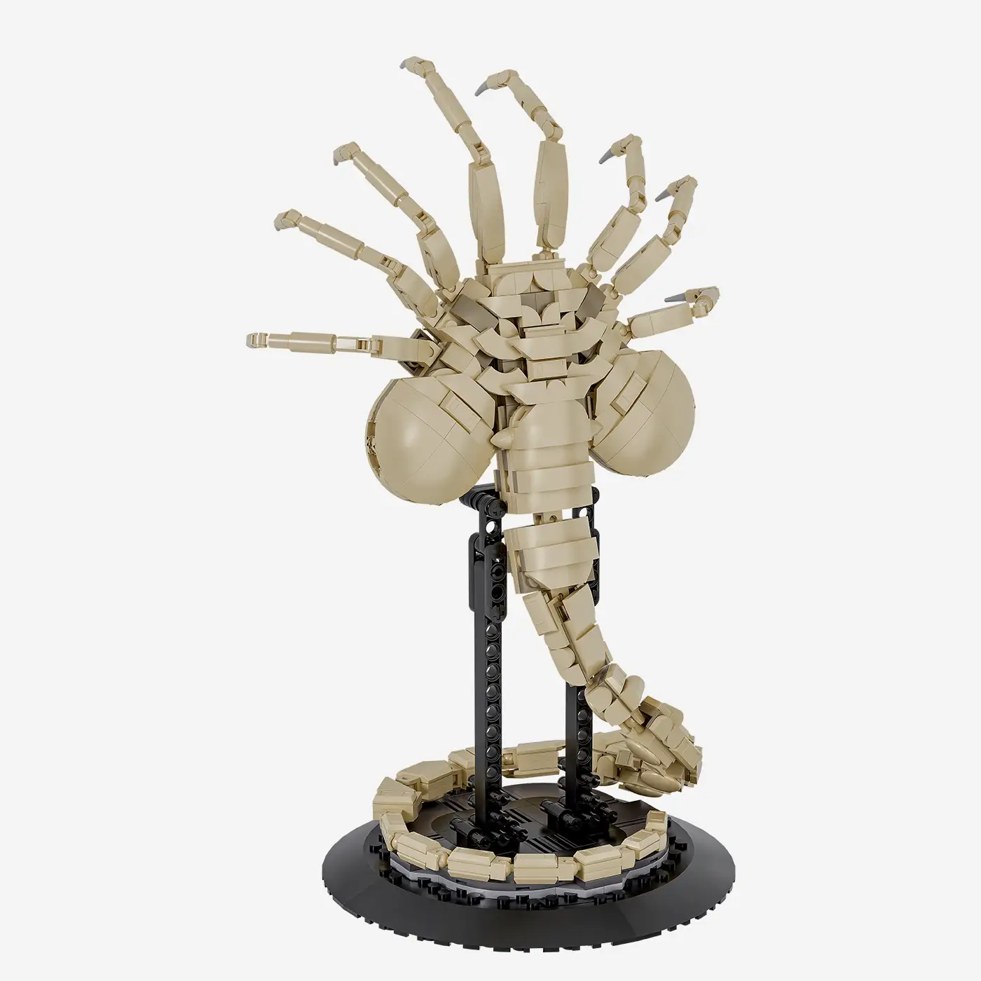 Alien Spider Parasite