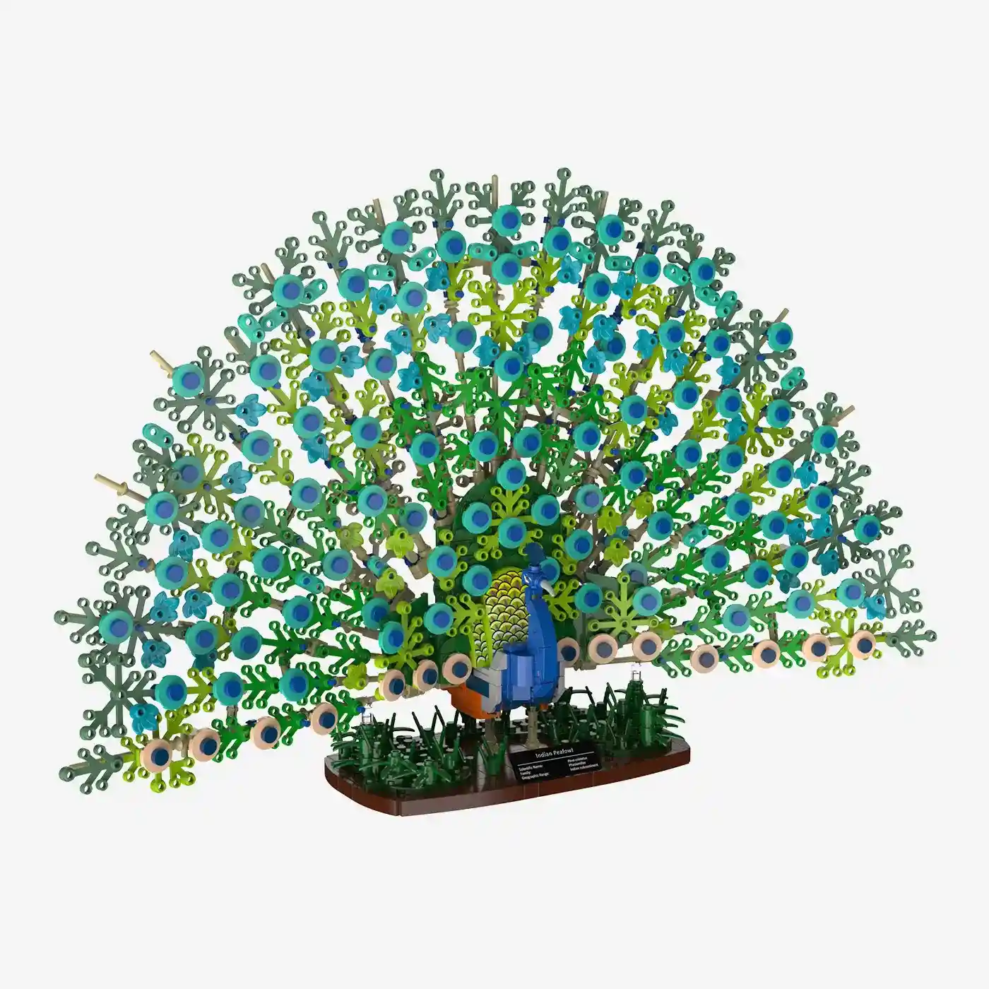 Build Birds with Bricks | Explore BlueBrixx Sets
