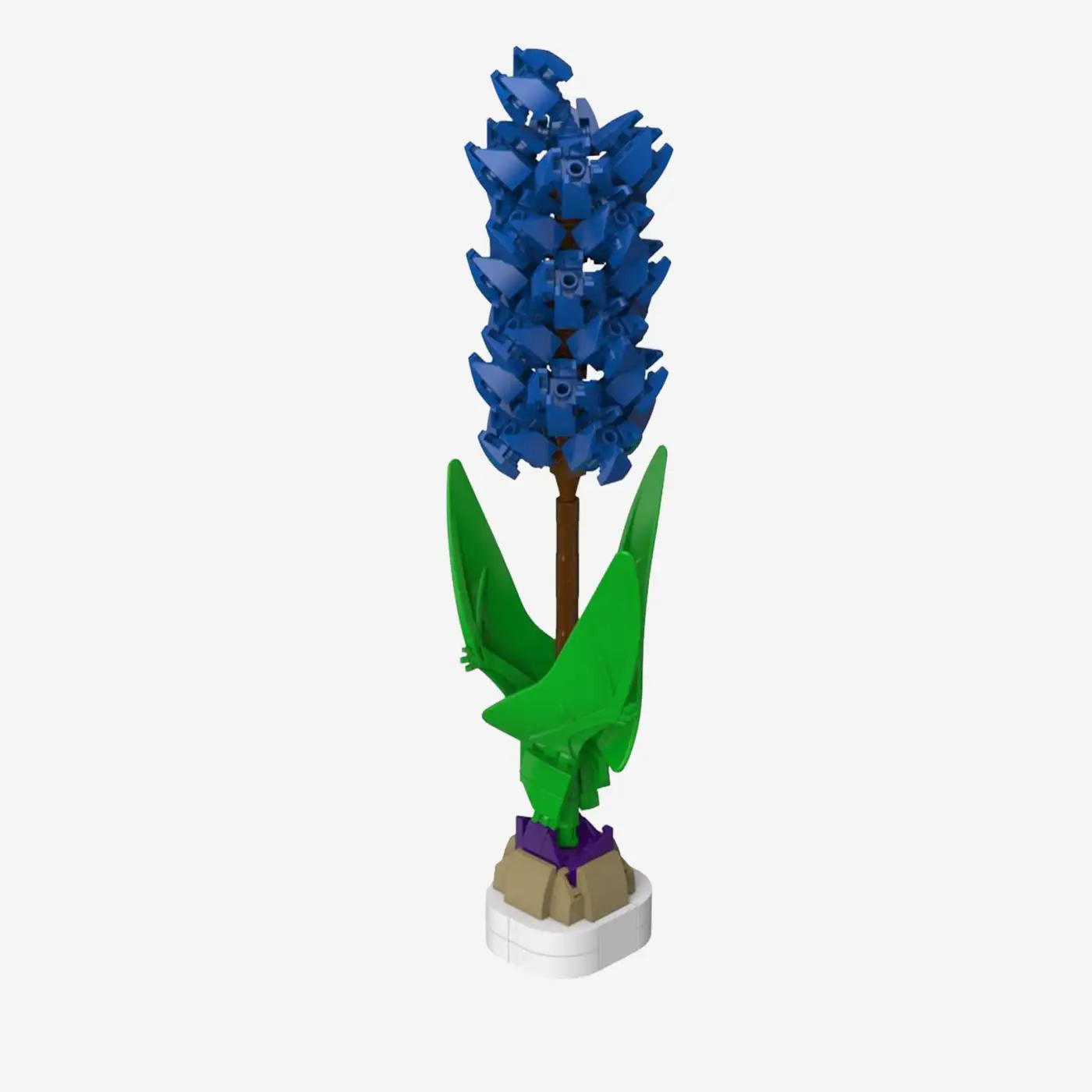Blue Hyacinth 