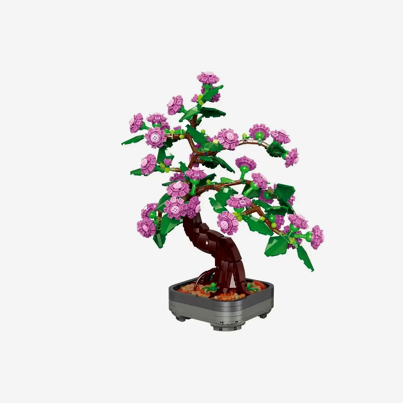 Blooming Bonsai Blooming Bonsai