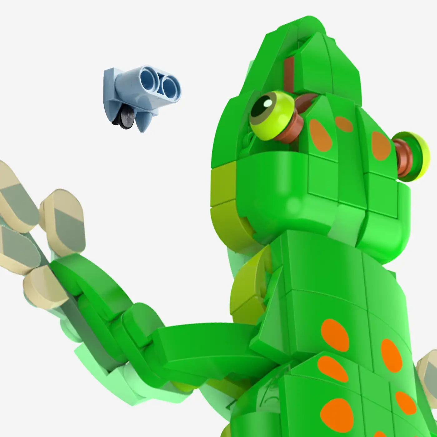 Madagaskar-Taggecko