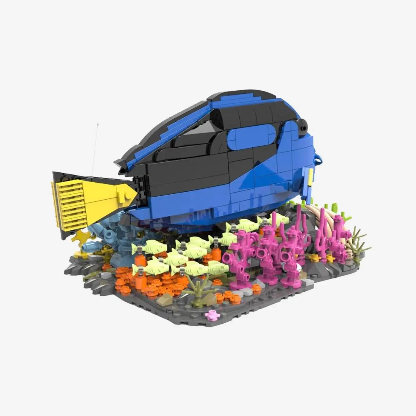 Paletten-Doktorfisch