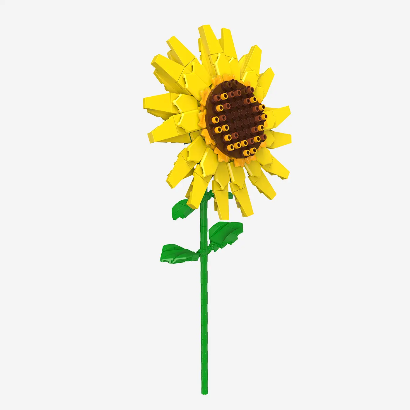 Common Sunflower