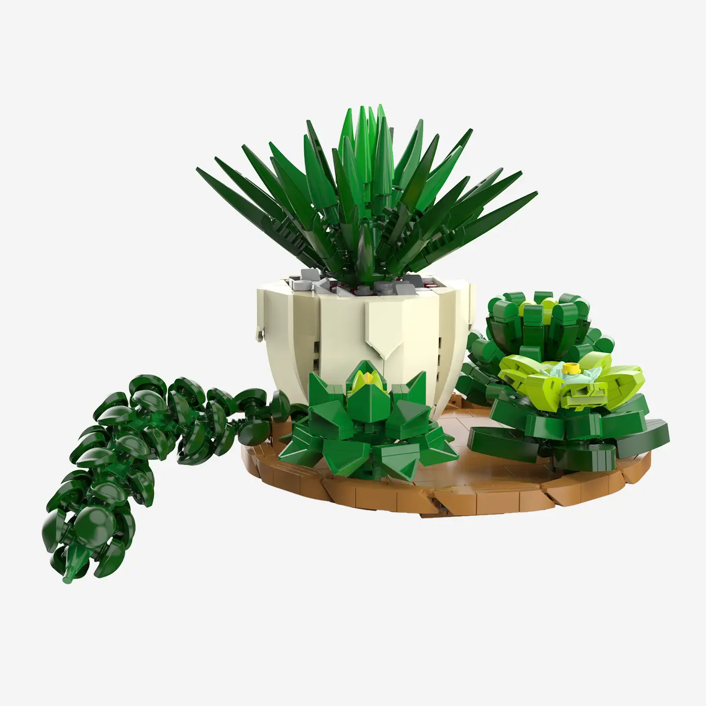 Succulent Mix