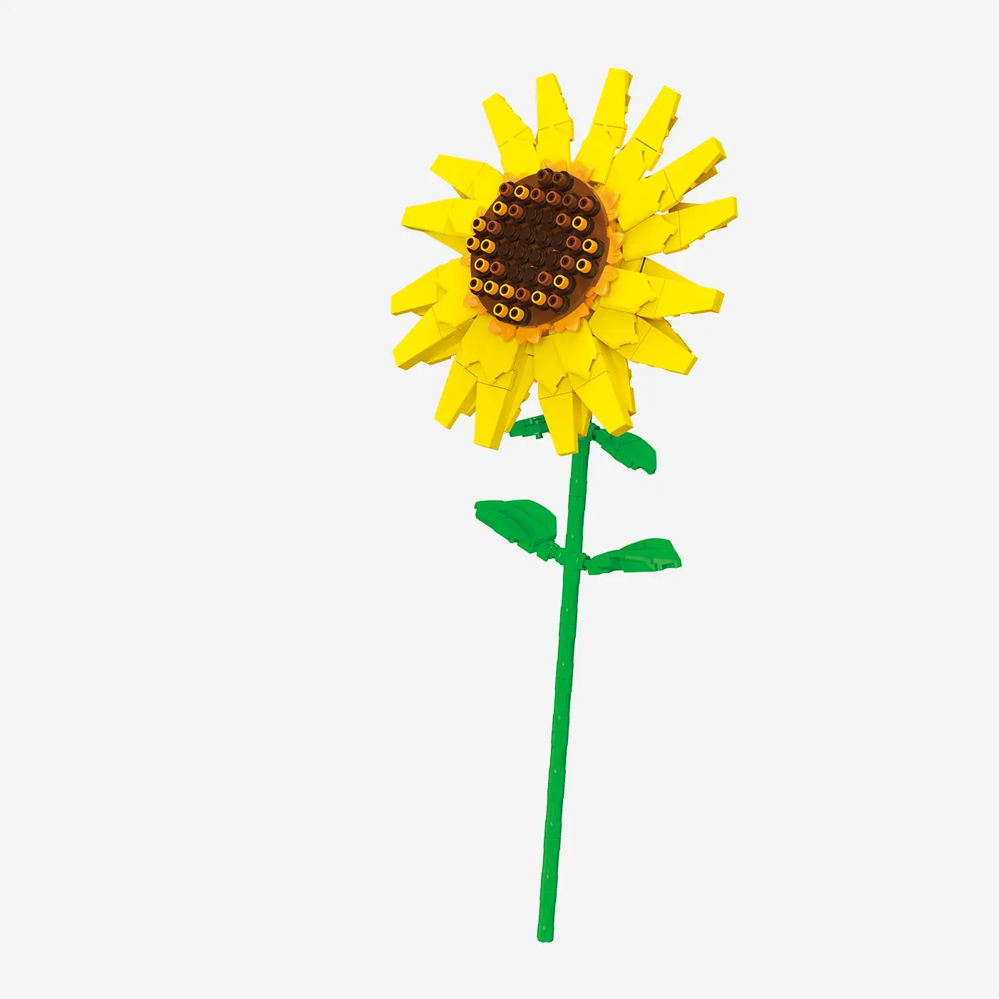 Sonnenblume