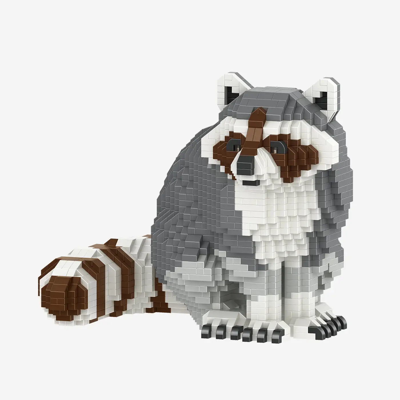 Waschbär