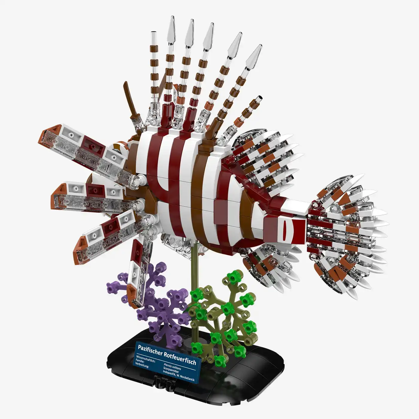 Pazifischer Rotfeuerfisch