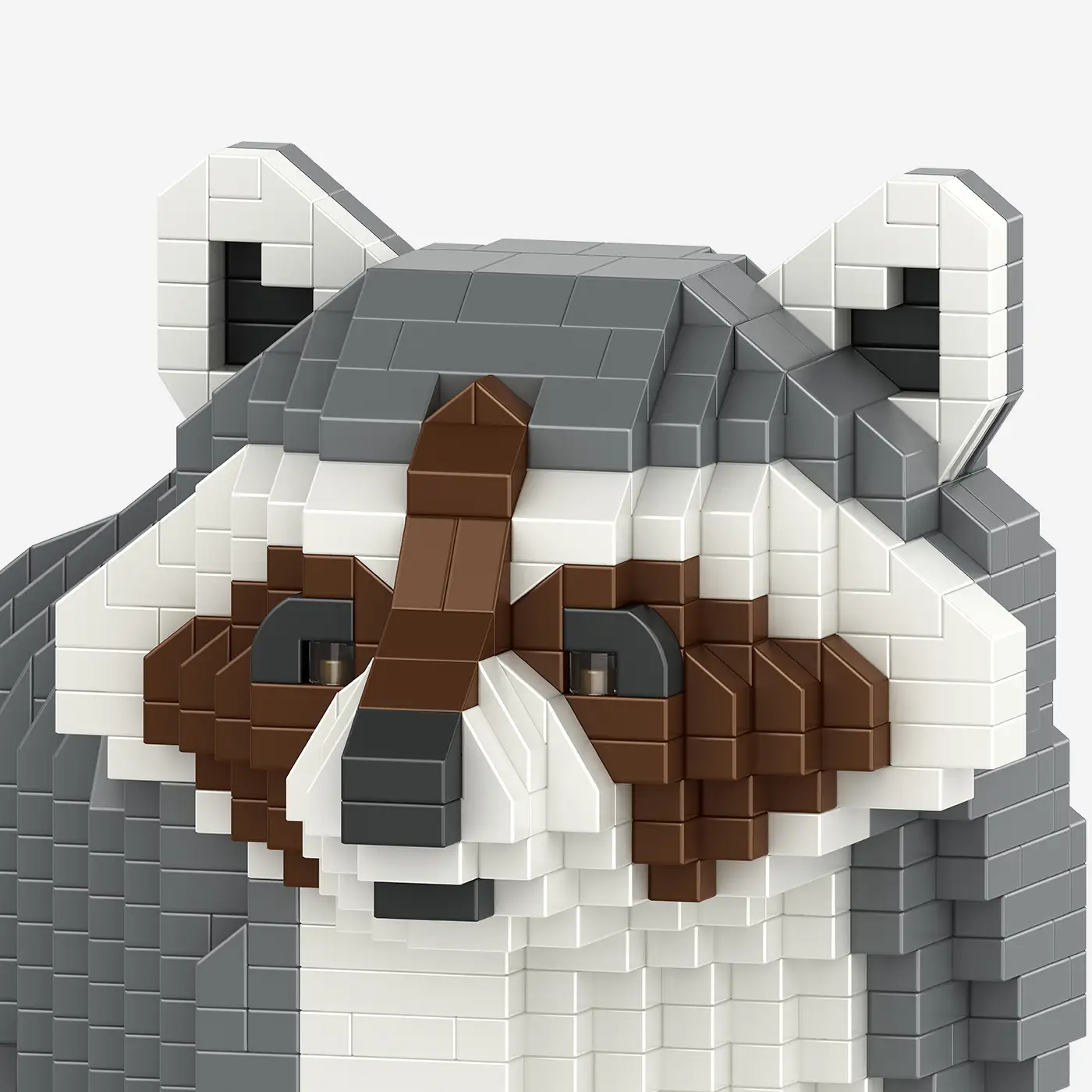 Waschbär