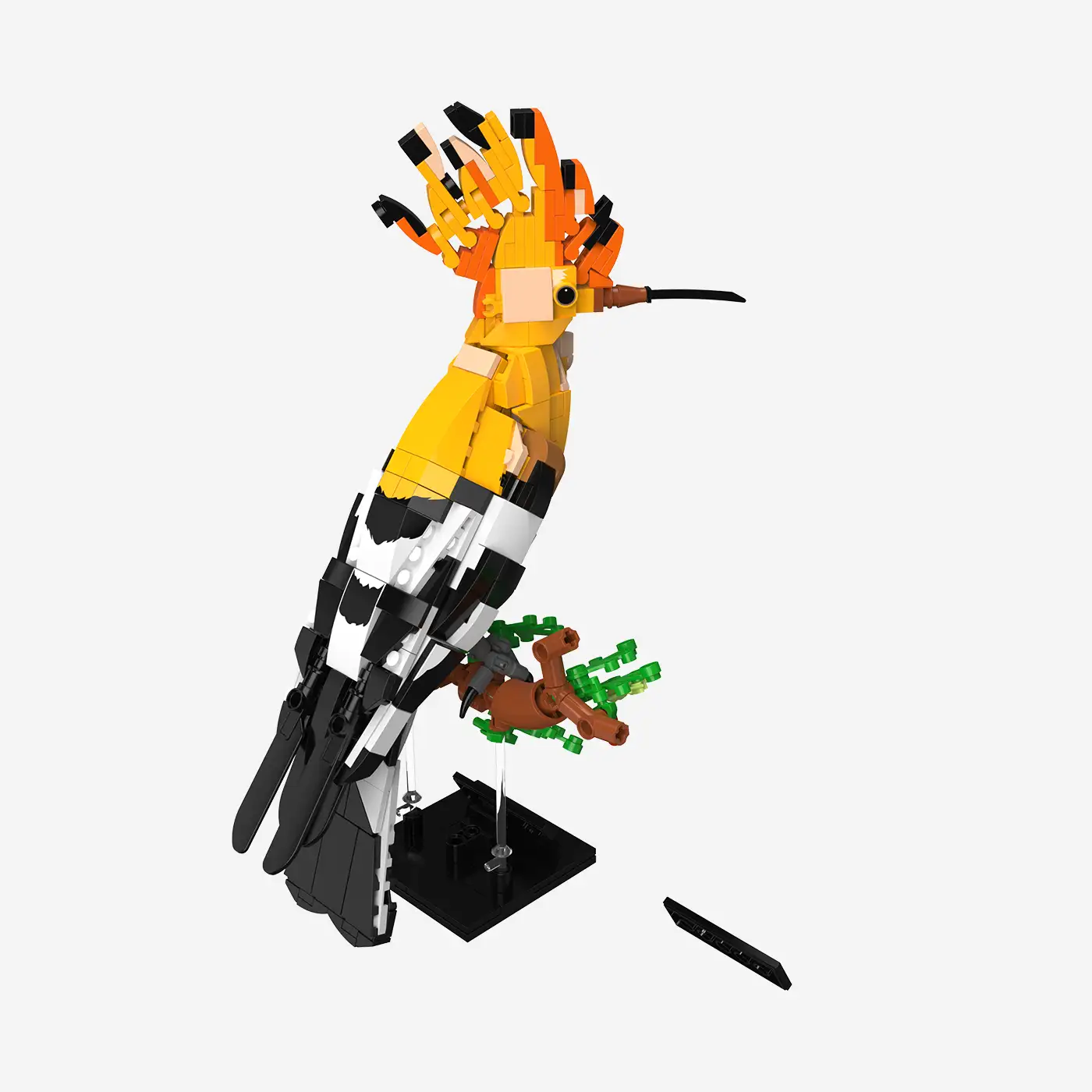 Eurasian Hoopoe