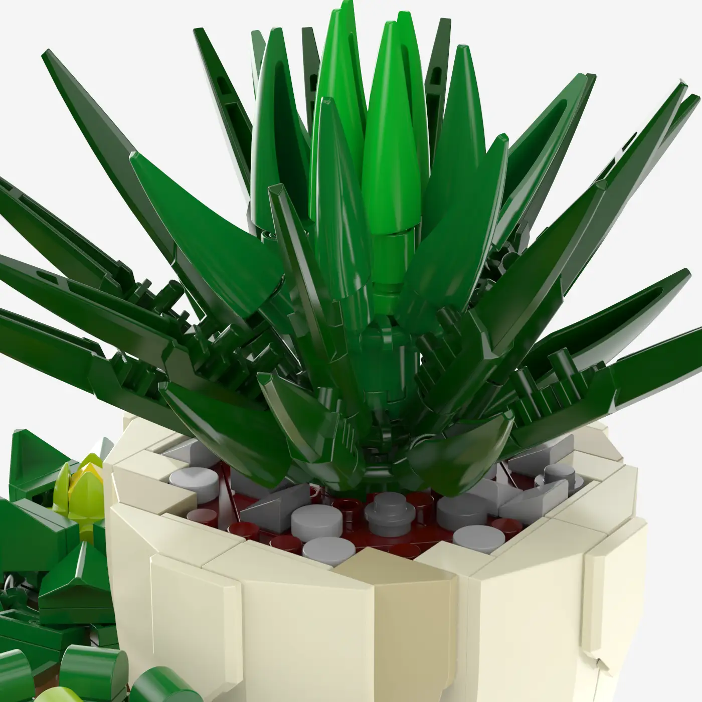 Succulent Mix