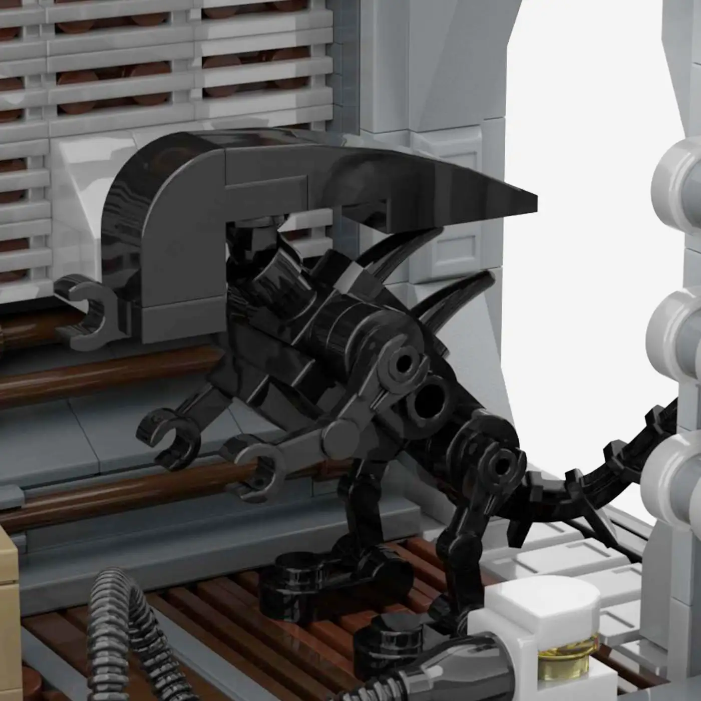 Nave Nostro Corridor