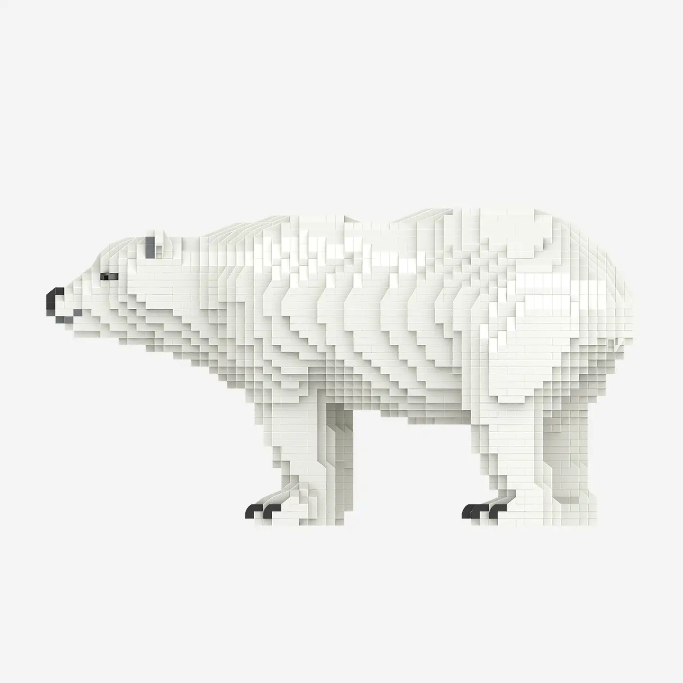 Eisbär