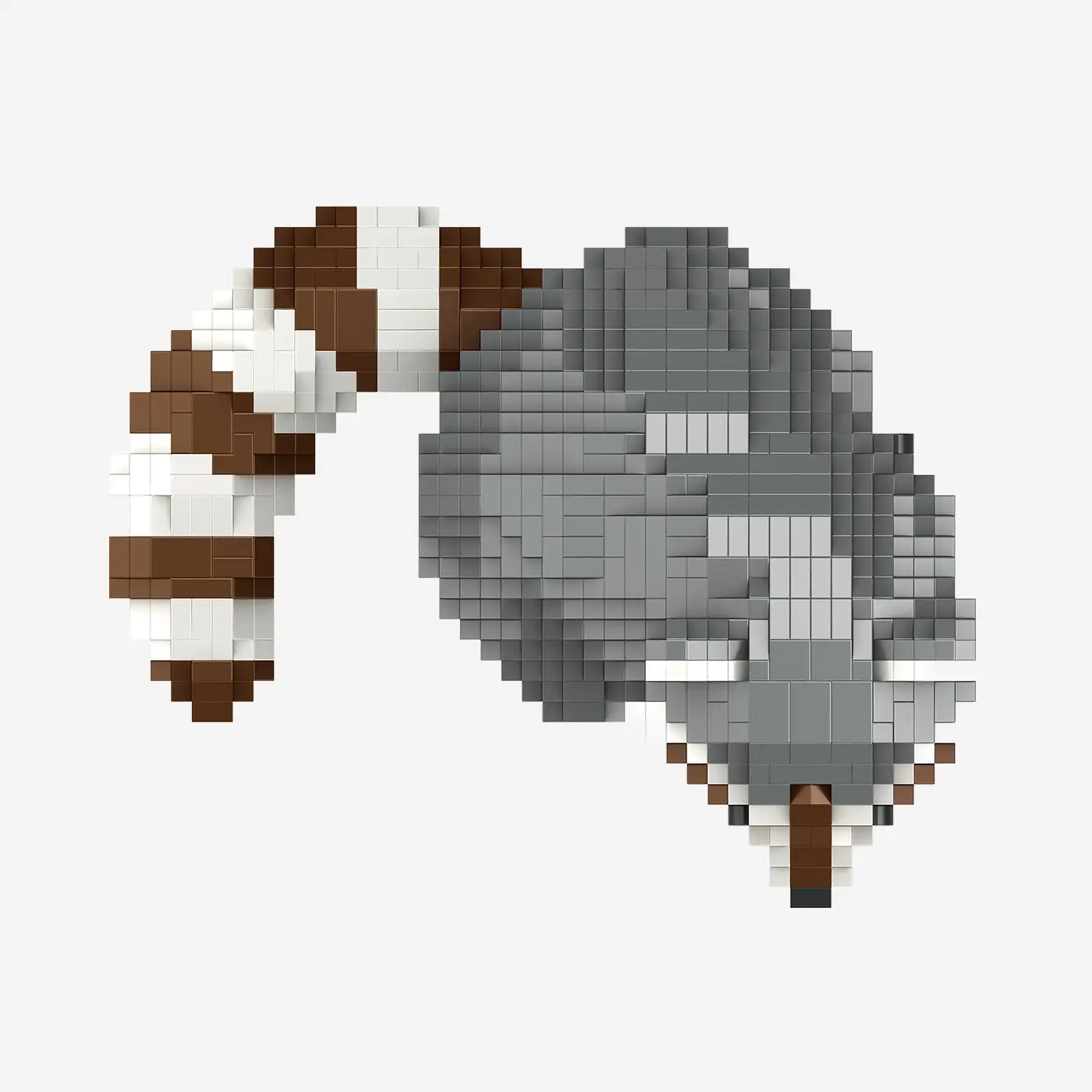 Waschbär