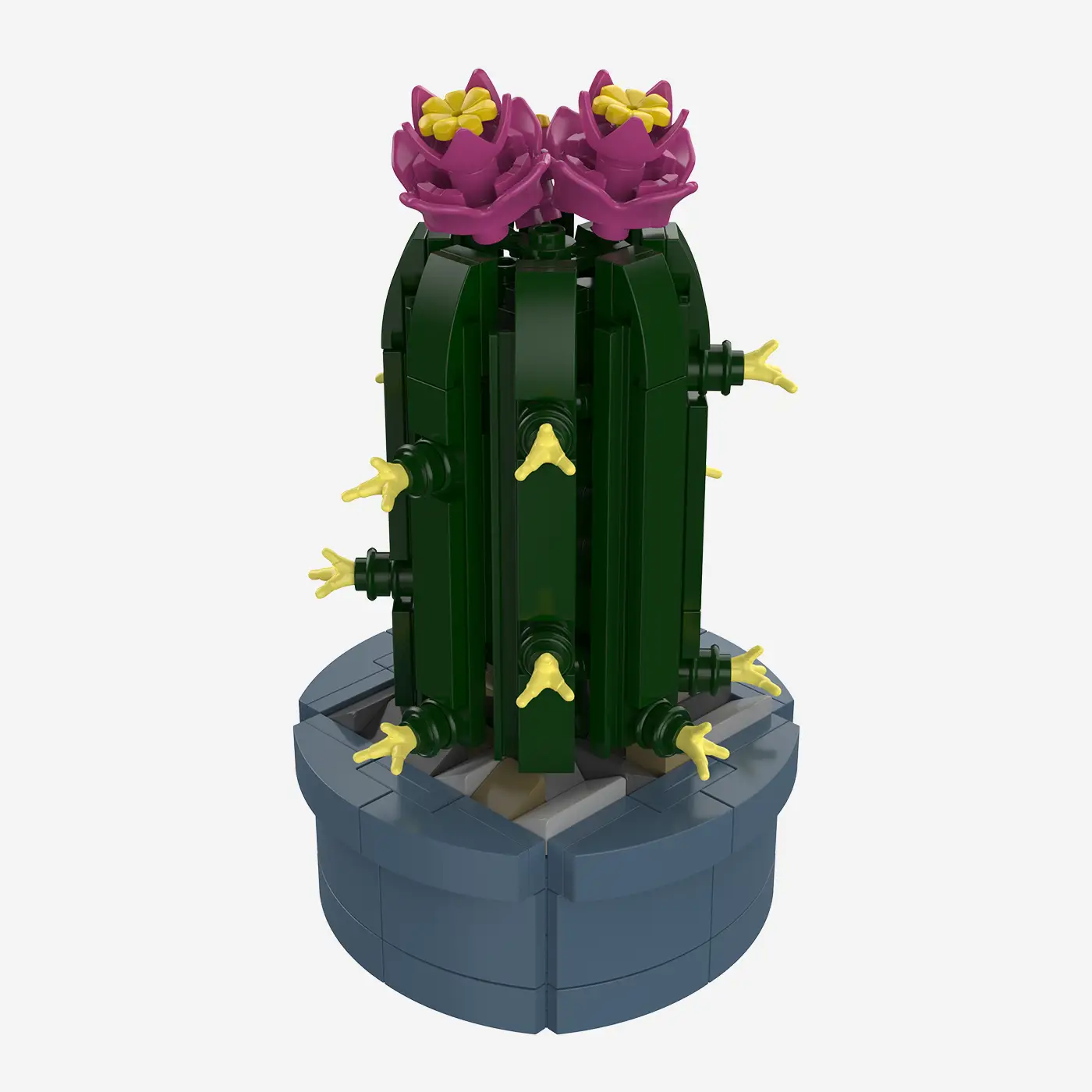 Mini-Säulenkaktus mit rosa Blüten
