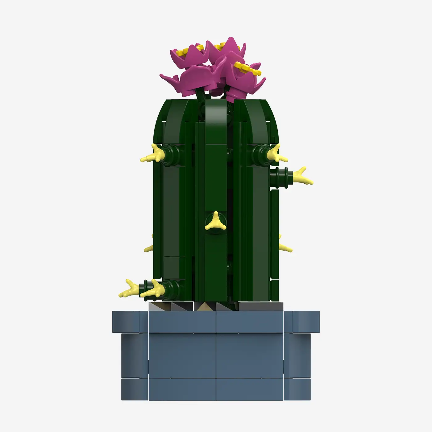 Mini-Säulenkaktus mit rosa Blüten